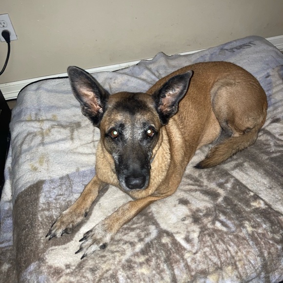 SC - Picture 16 of 17